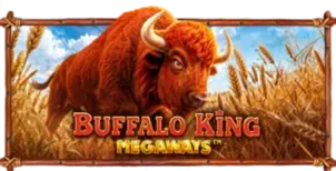 ภาพเกม Buffalo King Megaways ที่ โชคดี89 รวบรวมไว้